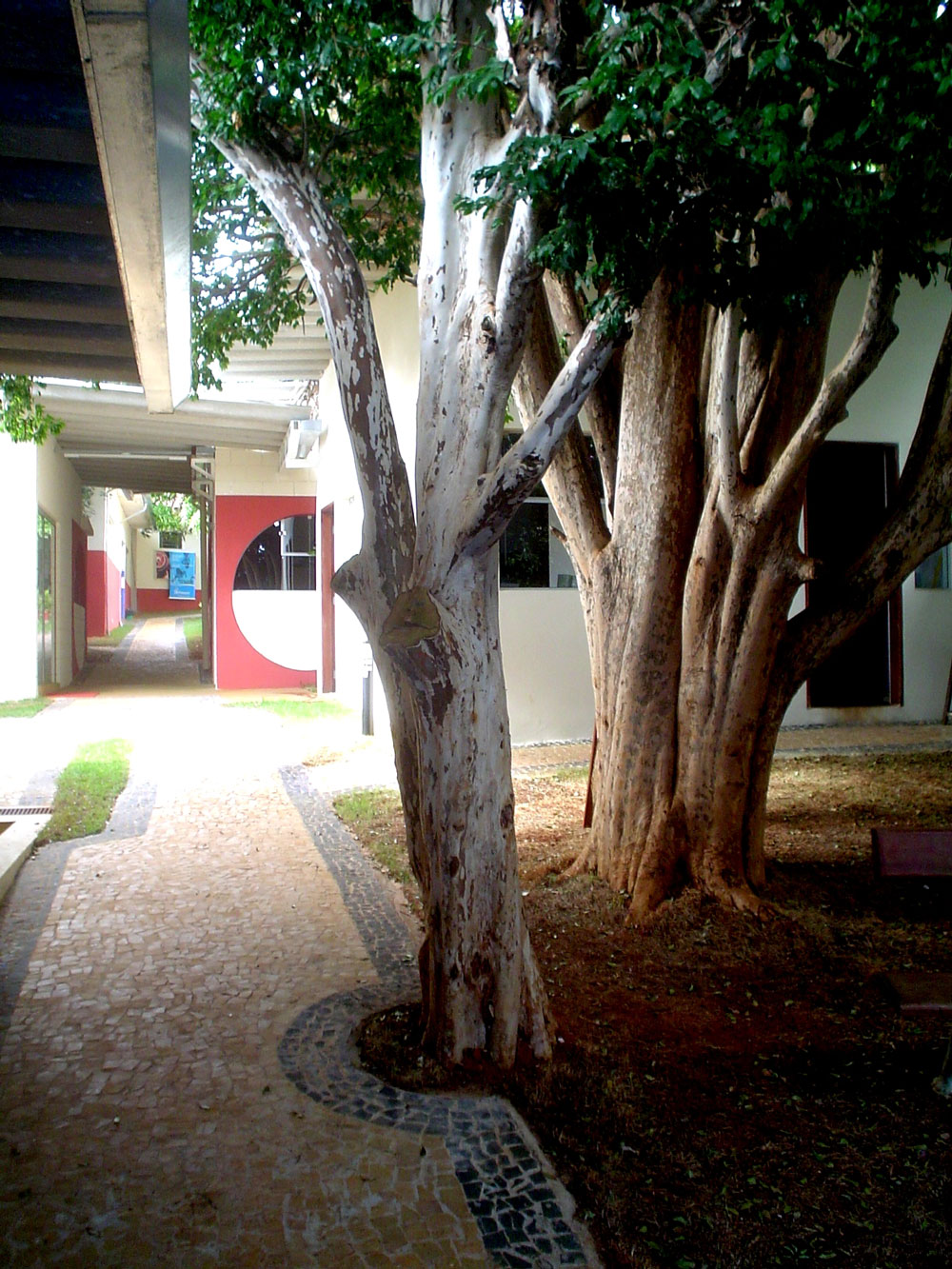 arquiteto marcos cunha academia sousas 4